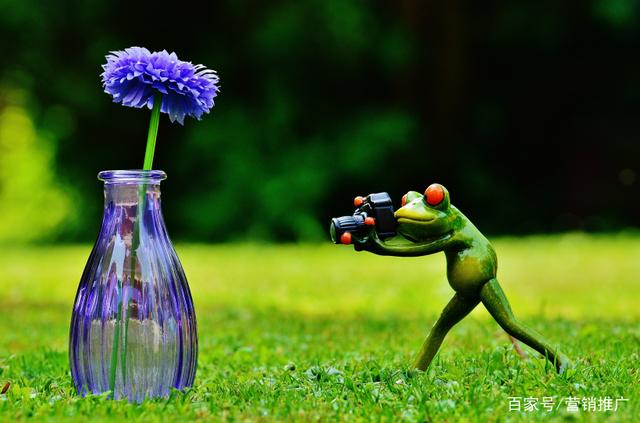 《搞怪有趣的玩具青蛙》井木犴-協(xié)助拍攝